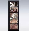 vertical-picture-frame-59de4ac1361b9.jpg
