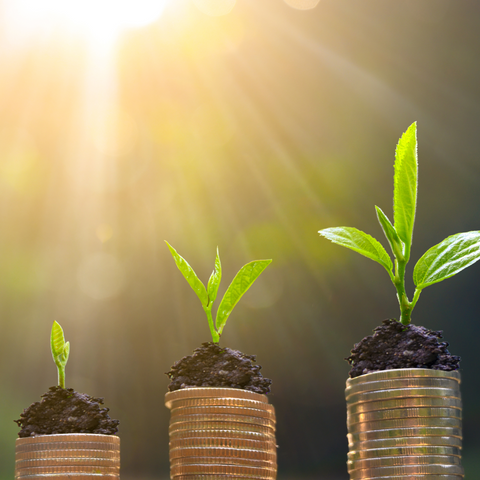 Kick start your success by implementing key career growth strategies. Understand the 7 key areas of a guest’s experience. Learn scripts for a signature consultation, offering retail, and rebooking. Explode your referral business through social media! Get Growing!