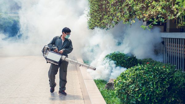 pest control expert spraying mist