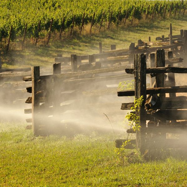 Misting along a fence