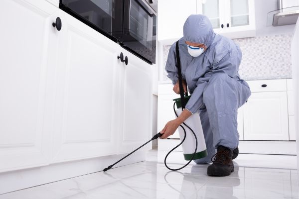 pest control tech spraying chemicals in a kitchen