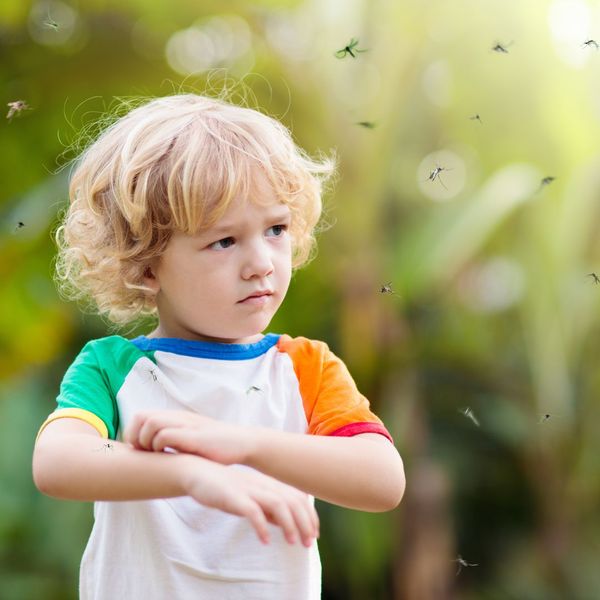 child surrounded by mosquitos 