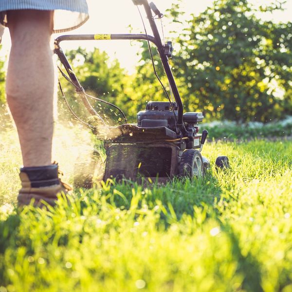 a person mowing a lawn What to Do About a Snake in Your Yard (3).jpg