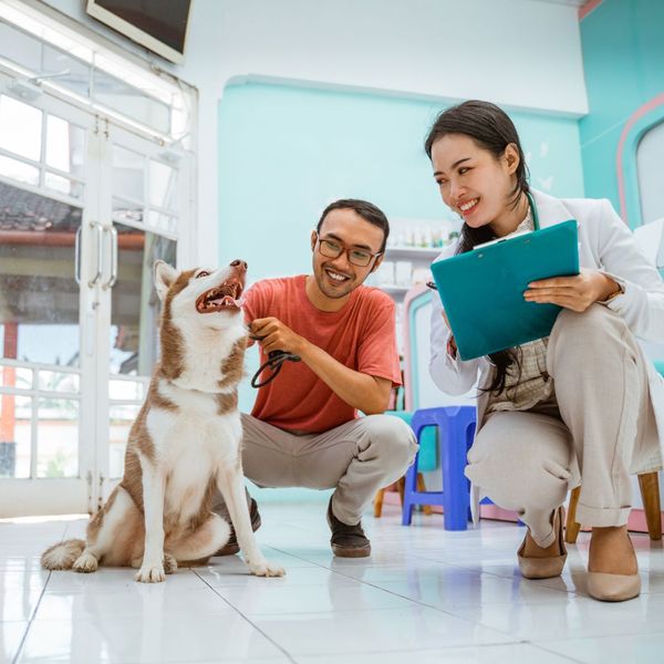 a man taking his dog to a vet Flea and Tick Control (3).jpg