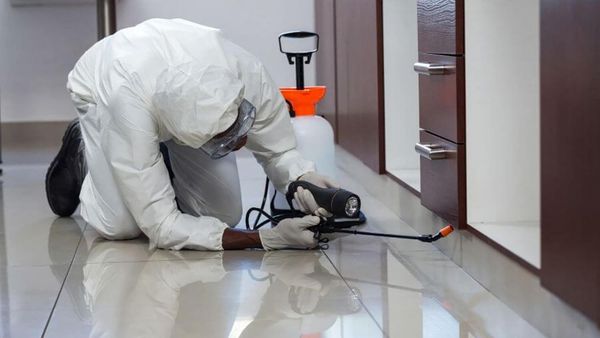 pest control person spraying inside home pest control person spraying inside home