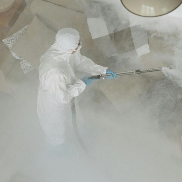 Pest Control for Your Business - Image 1.jpg