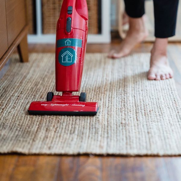a person vaccuming Flea and Tick Control (2).jpg