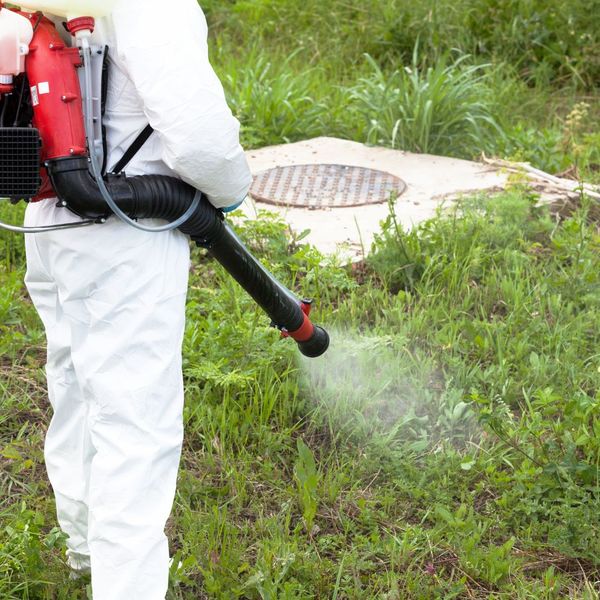 Pest control expert spraying mist