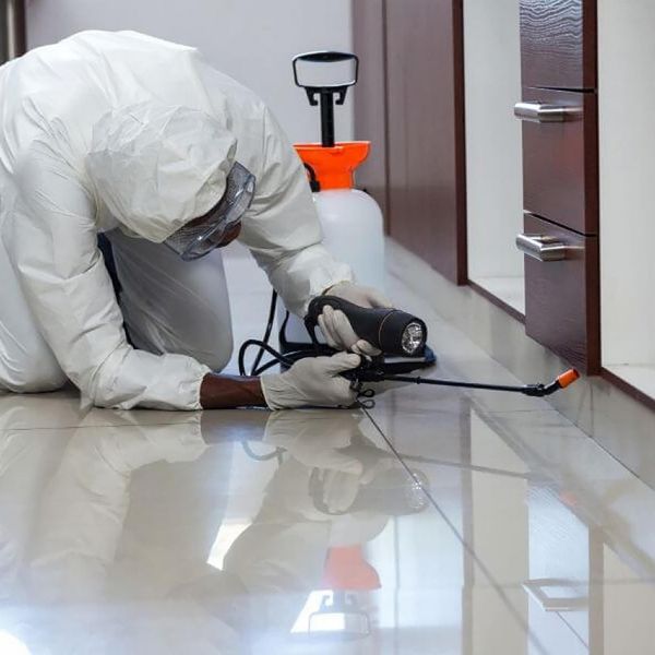 Pest Control for Your Business - Image 3.jpg