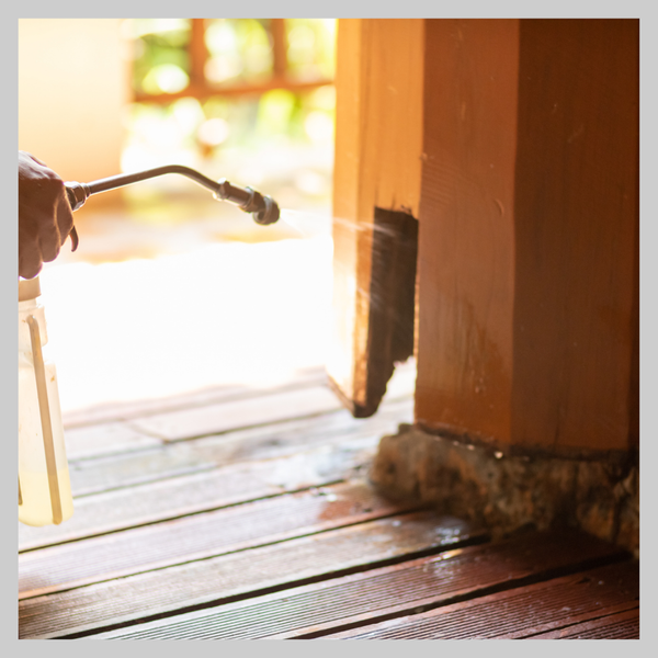 The Risks of DIY Pest Control_ Why Professional Services Are Worth the Investment 2.png