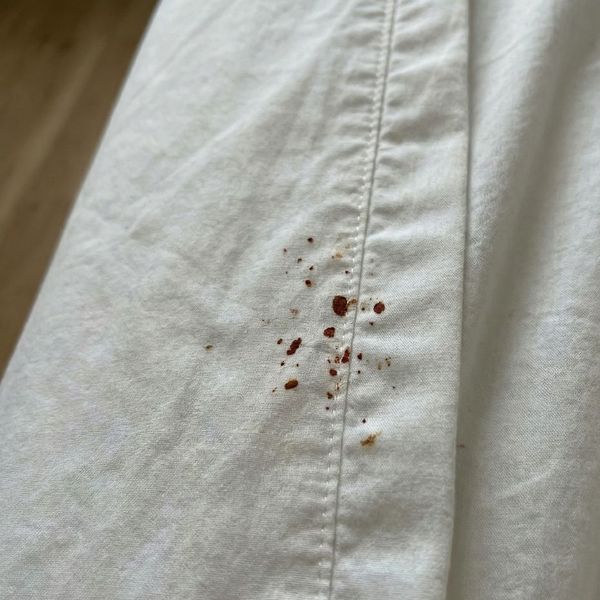 Bed Bug Nightmares 2.jpg