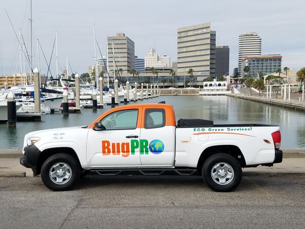 BugPro Truck.jpg