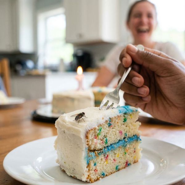 The Dirty Truth Dangerous Diseases Carried by Common House Flies 1.jpg