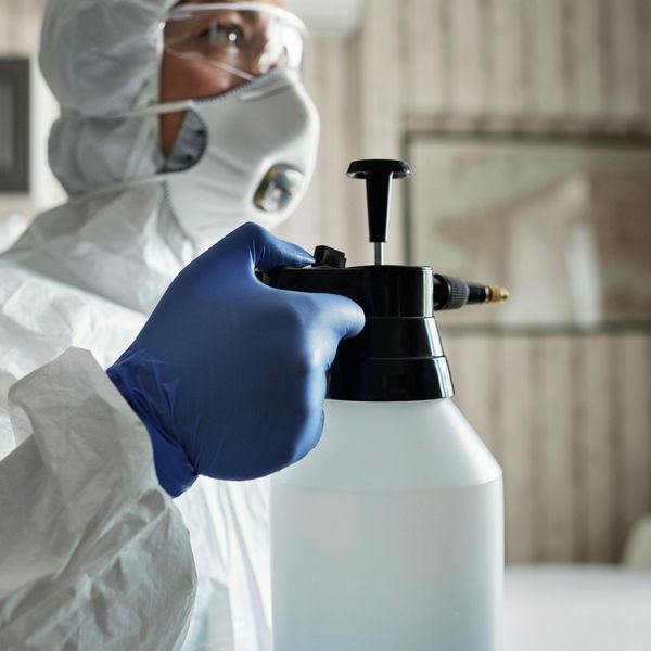 Pest Control for Your Business - Image 2.jpg