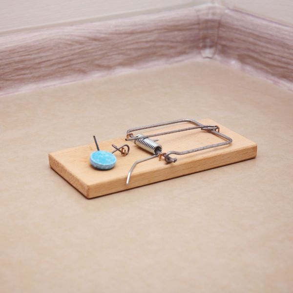 a traditional mouse trap on the ground