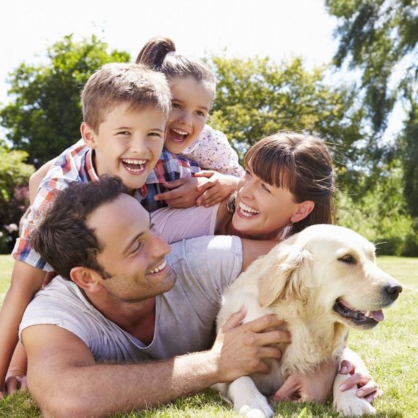 A happy family (mother, father, son, daughter) piled on top of each other, hugging a golden retriever dog on a sunny, green lawn.