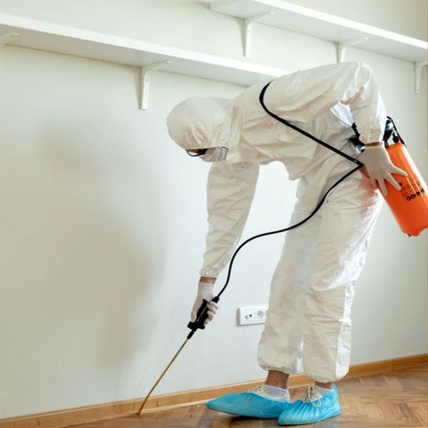 The Hidden Dangers of Rodents 3.jpg