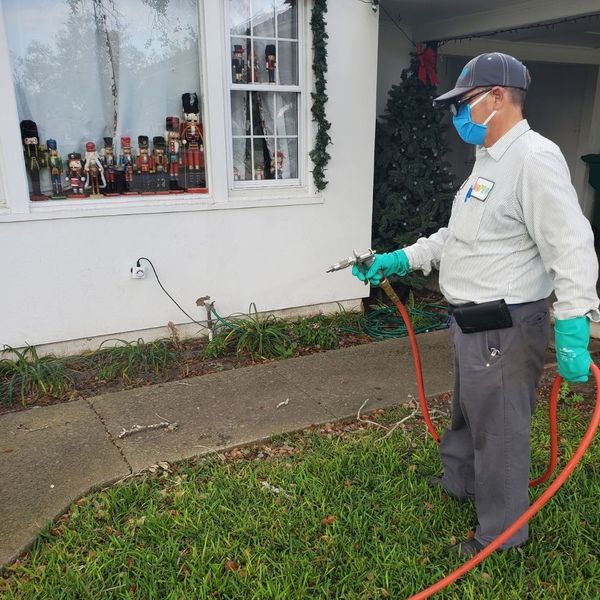 A pest control technician wearing a mask and gloves spraying the exterior foundation of a white house, with festive holiday nutcrackers visible in the window.