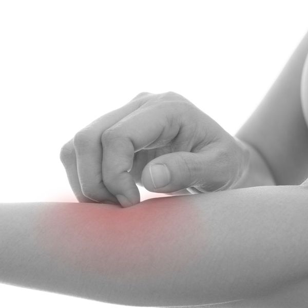 Fire Ants in Texas 4.jpg