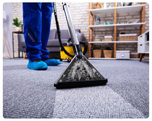 carpet cleaning in progress