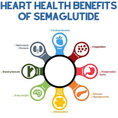 Semaglutide Injection