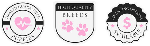 Trust Badges Trust Badges