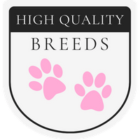 High Quality Breeds