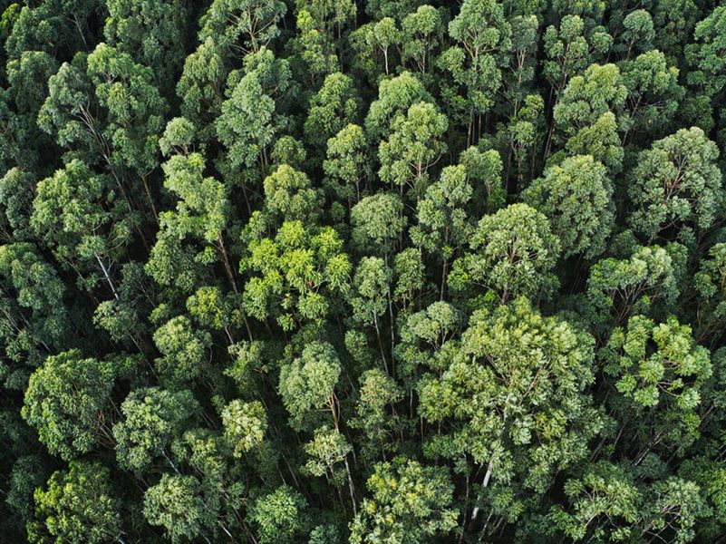 SUSTAINABILITY