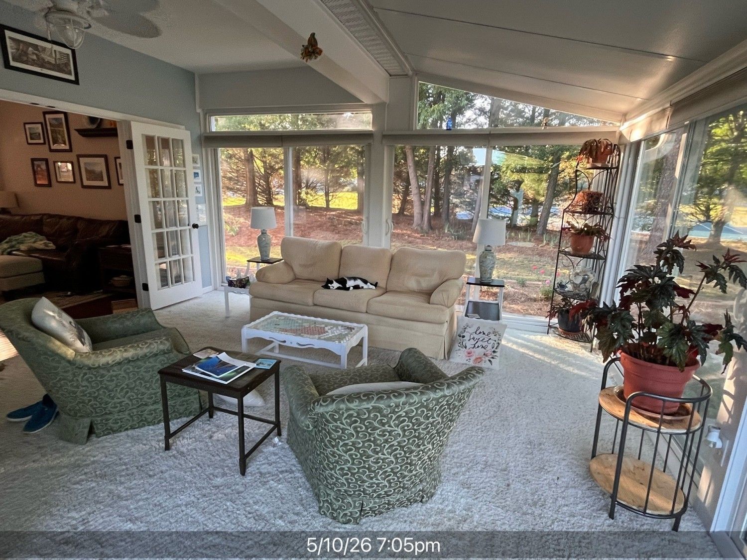 Sunroom with carpet.jpg