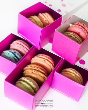 boxes of macarons