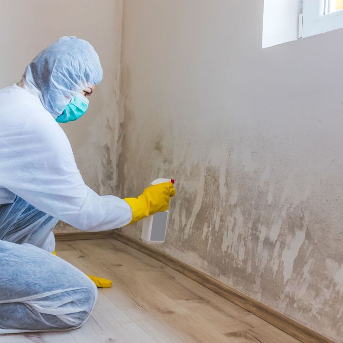 4 Signs of Mold In Your Home 2.jpg