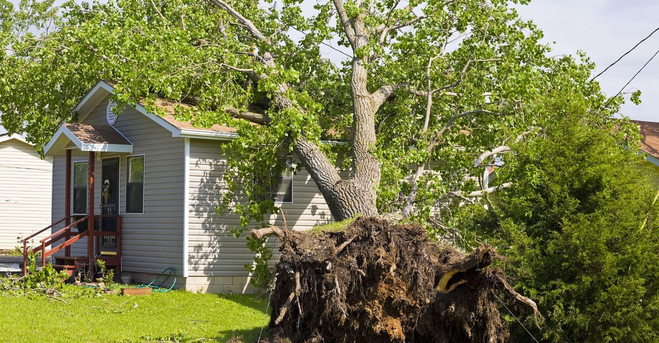 M37534 - Blog - What To Do If Your Home Has Been Struck By Disaster.jpg