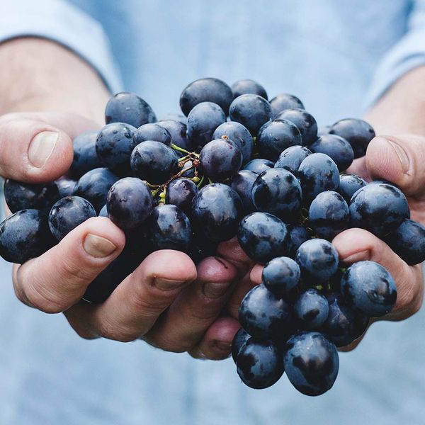 Man showing off prized grapes 