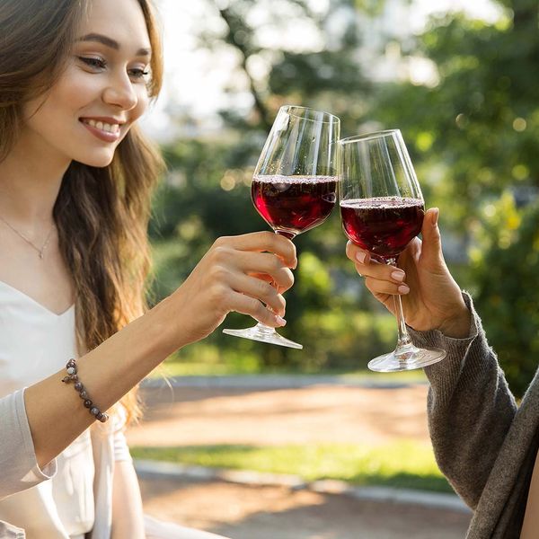 Two friends drinking wine