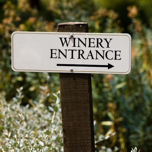 Avoid parking hassles at your Charlottesville wine tour with  executive transportation services from Norm's.