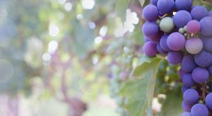 M26573 -Feature images.jpg