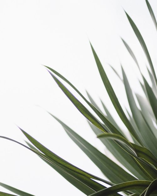 chua-bing-quan-Sg7eWHKrxrA-unsplash.jpg