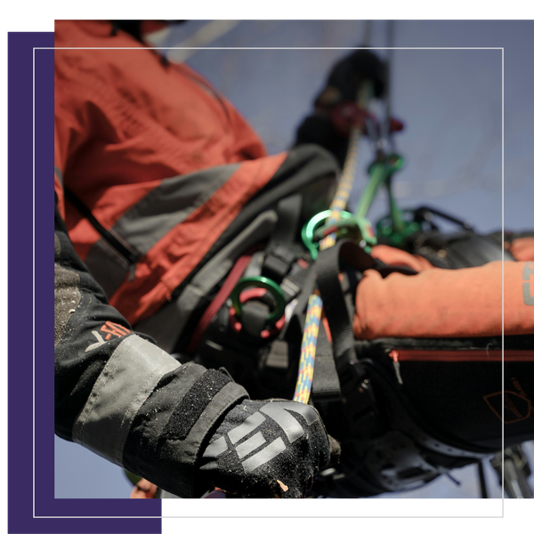 tree removal - 4.png