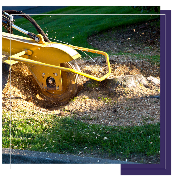 Copy of Light Theme 360 Badges (5).png