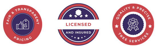 Copy of Light Theme 360 Badges.png