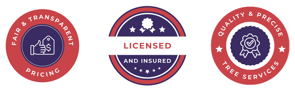 Copy of Light Theme 360 Badges.png