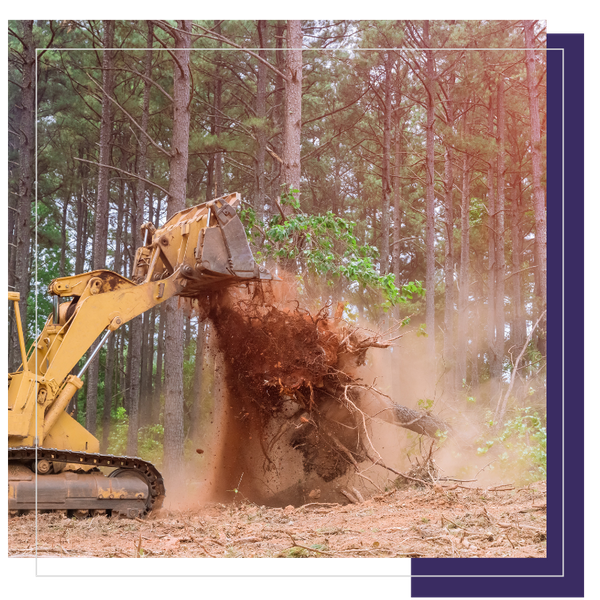 Copy of Light Theme 360 Badges (6).png