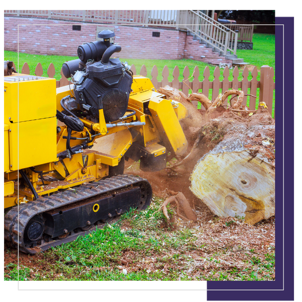 Copy of Light Theme 360 Badges (2).png