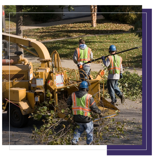 Copy of Light Theme 360 Badges (8).png