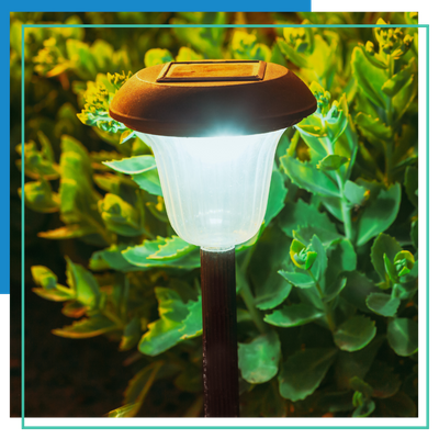 image of landscape lighting