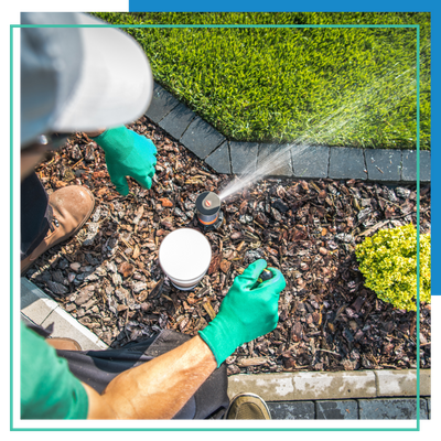 image of a sprinkler install