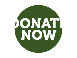Donate Now Button.png