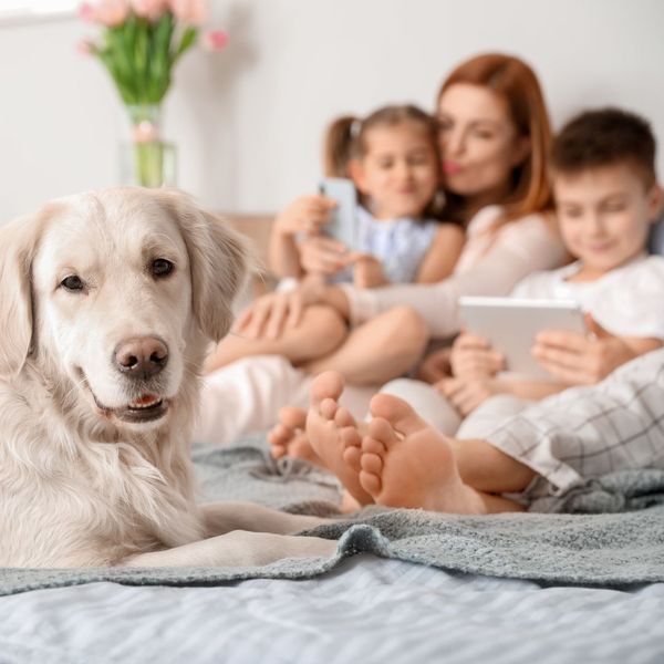 happy family sitting on couch with dog