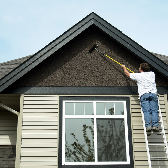 Painting the outside of a home black