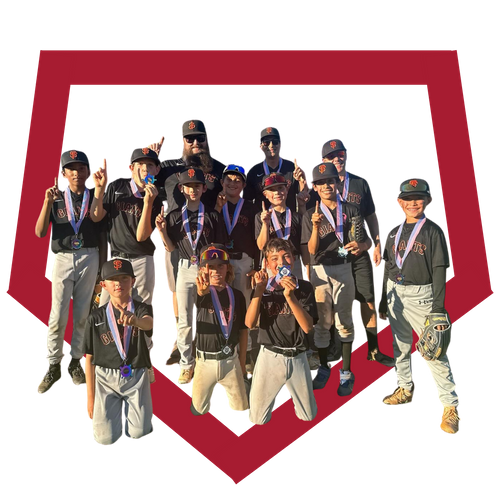 Little league team with their medals from winning a game